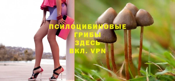 меф Медногорск