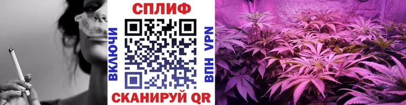 Купить  Отрадное  Марихуана конопля 
